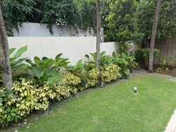 Coronation Road (D10), Detached #456953531